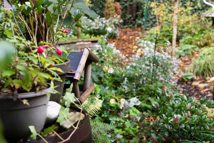 Foto 59 van Beethovenlaan 116