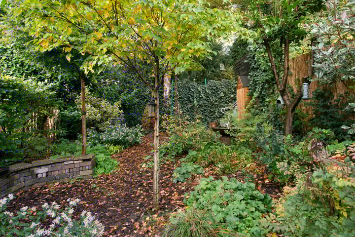 Foto 62 van Beethovenlaan 116