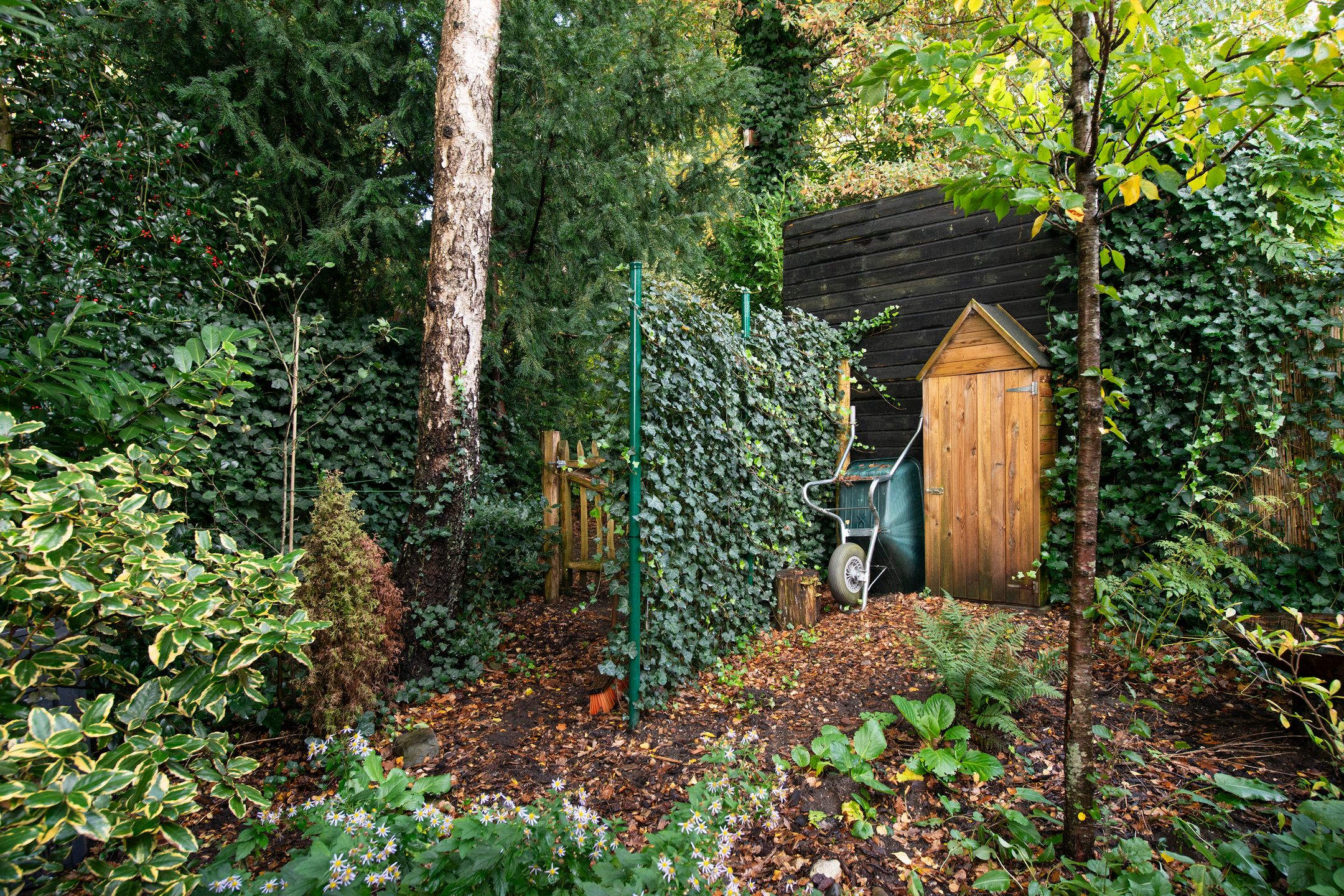 Photo 63 of Beethovenlaan 116