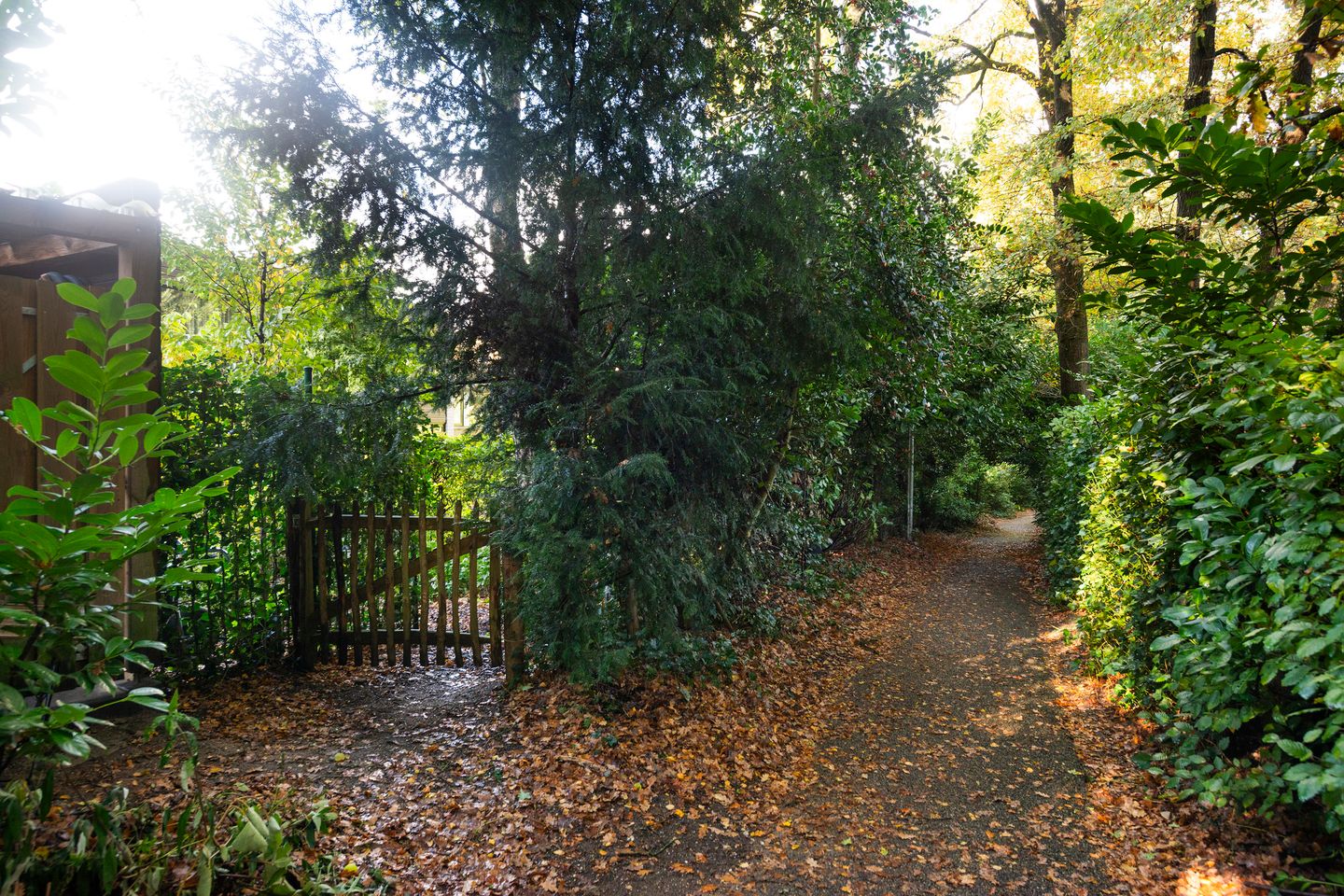 Photo 64 of Beethovenlaan 116