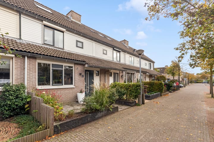 Foto 2 van Floridastroom 8