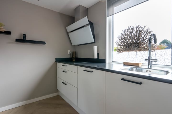 Foto 12 van Holenduif 21