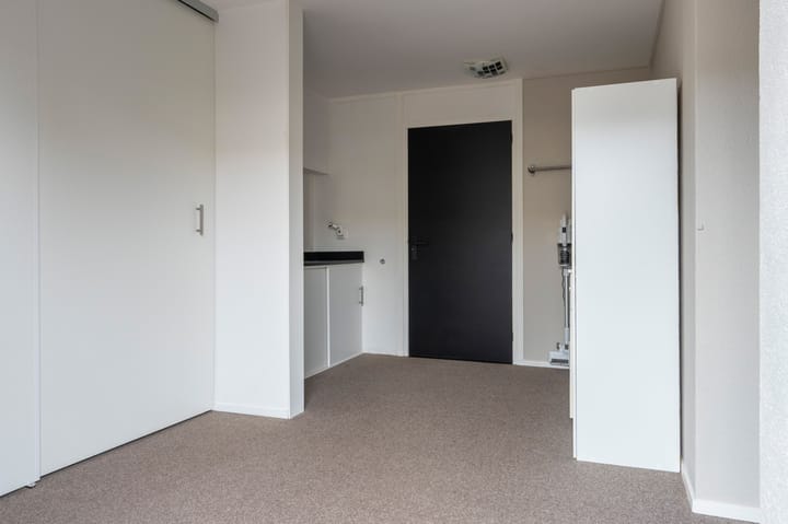 Foto 15 van Holenduif 21