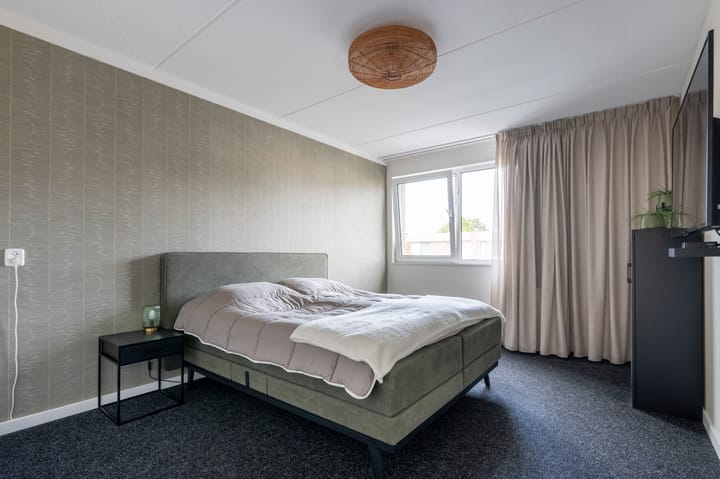 Foto 20 van Holenduif 21