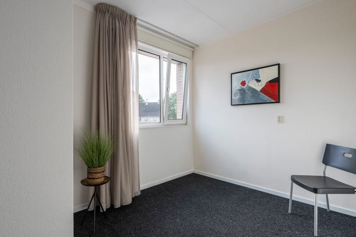 Foto 21 van Holenduif 21