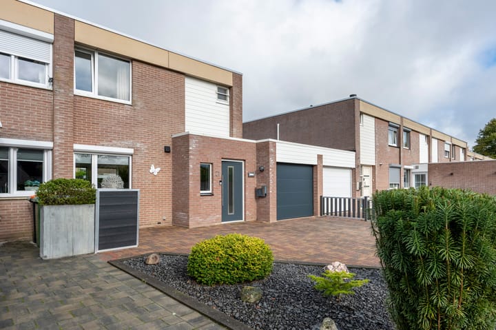 Foto 33 van Holenduif 21