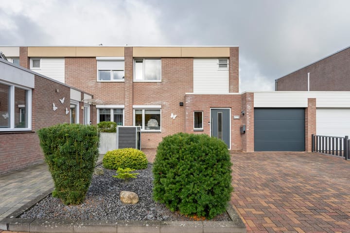 Foto 34 van Holenduif 21