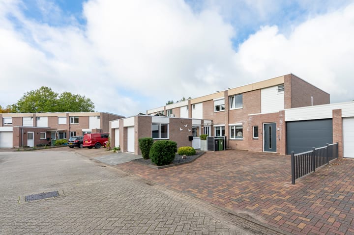 Foto 35 van Holenduif 21