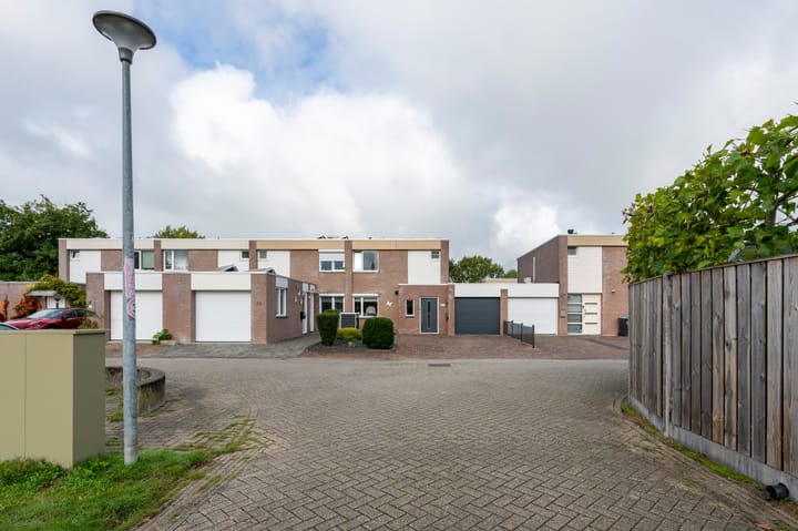 Foto 36 van Holenduif 21