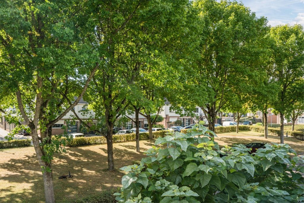 Foto 13 van Meidoornplantsoen 11