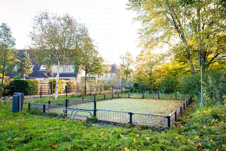 Foto 28 van Dragonstraat 6