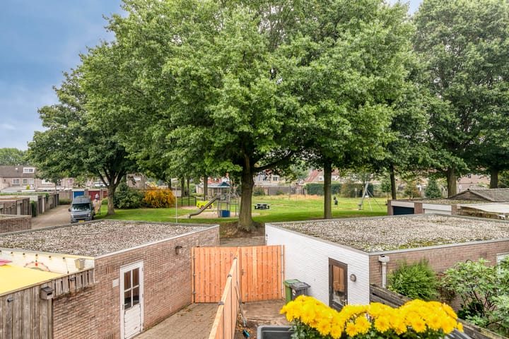 Foto 27 van Lathyrus 41