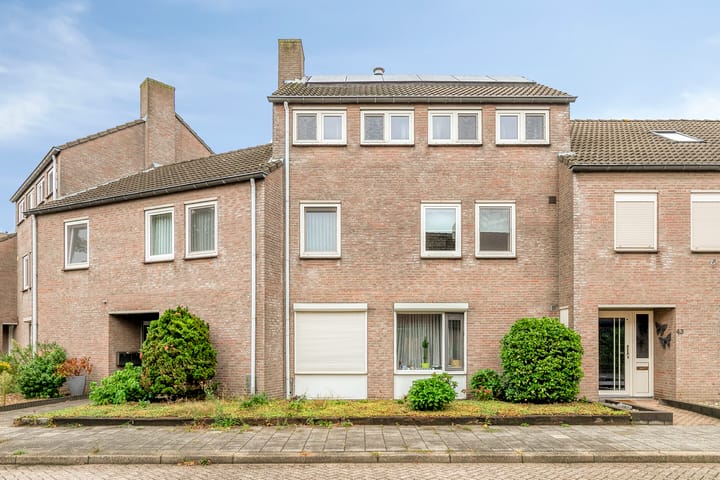 Foto 28 van Lathyrus 41