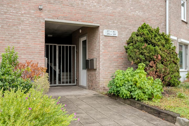 Foto 30 van Lathyrus 41