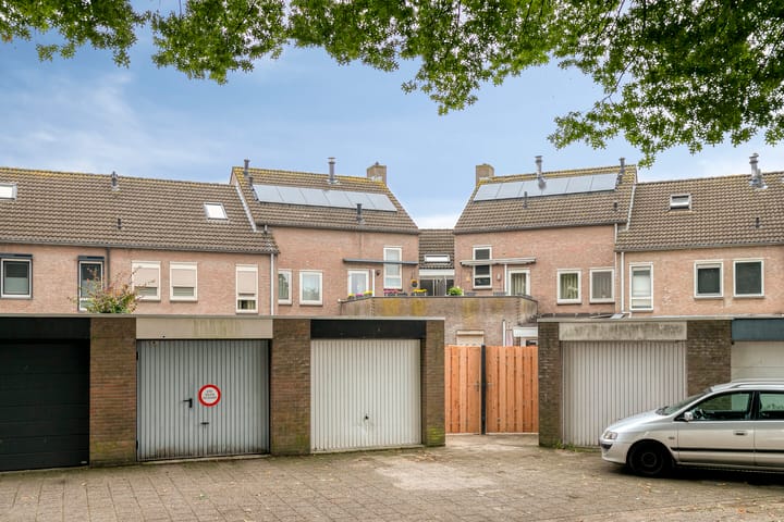 Foto 33 van Lathyrus 41