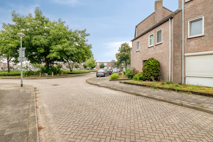 Foto 32 van Lathyrus 41