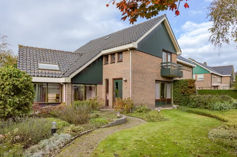 undefined main image