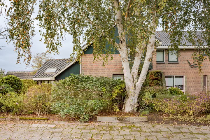 Photo 49 of Dr. C.J.K. van Aalstweg 17