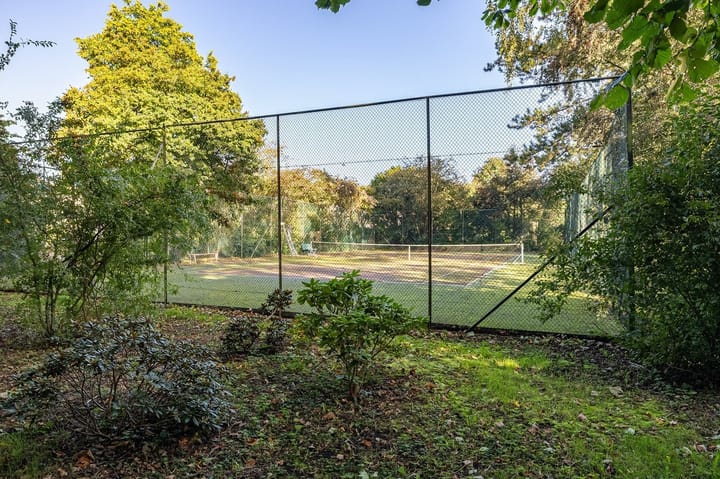 Photo 36 of Aragon 12