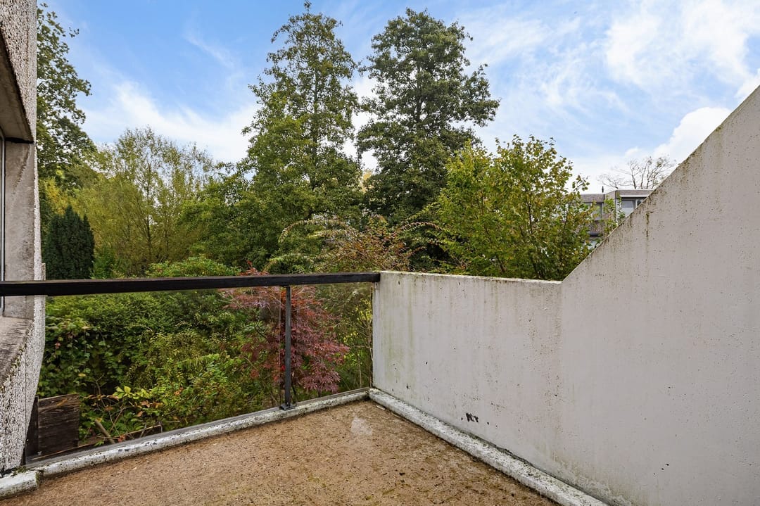 Foto 13 van Aragon 12