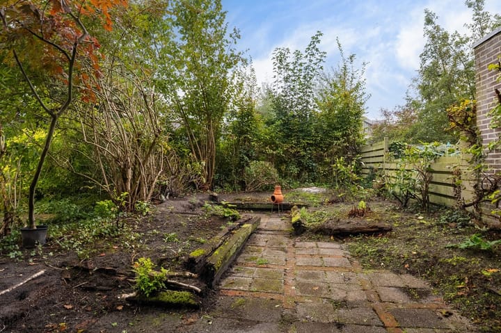 Photo 29 of Aragon 12