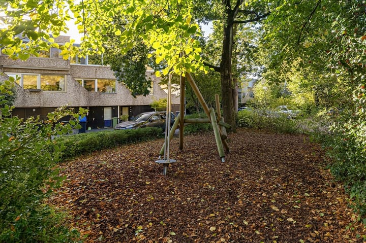 Photo 31 of Aragon 12