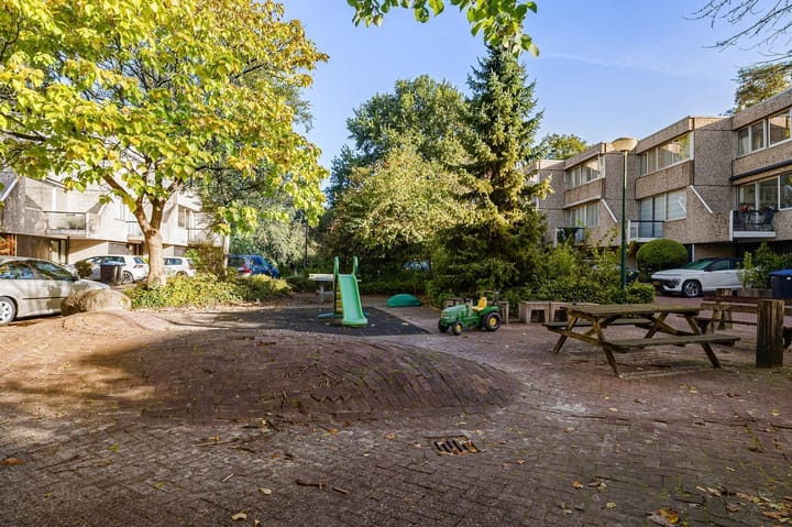 Photo 39 of Aragon 12