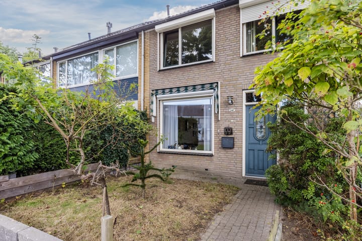 Foto 27 van Bellinistraat 247