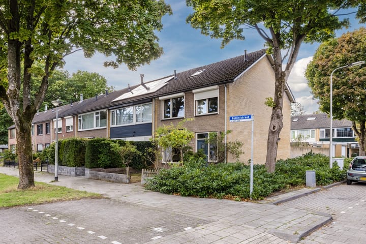 Foto 28 van Bellinistraat 247