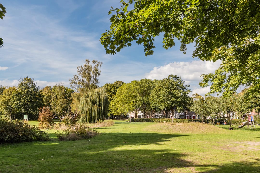 Foto 31 van Bellinistraat 247