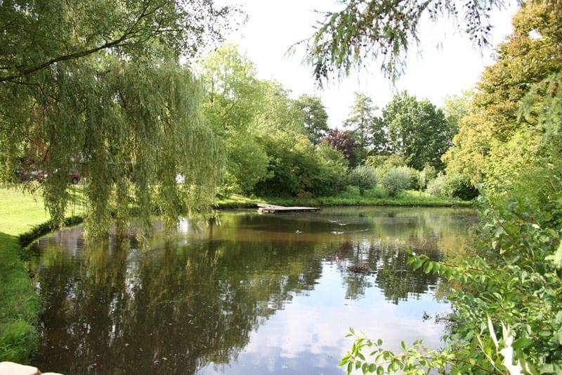 Foto 37 van Aragon 12