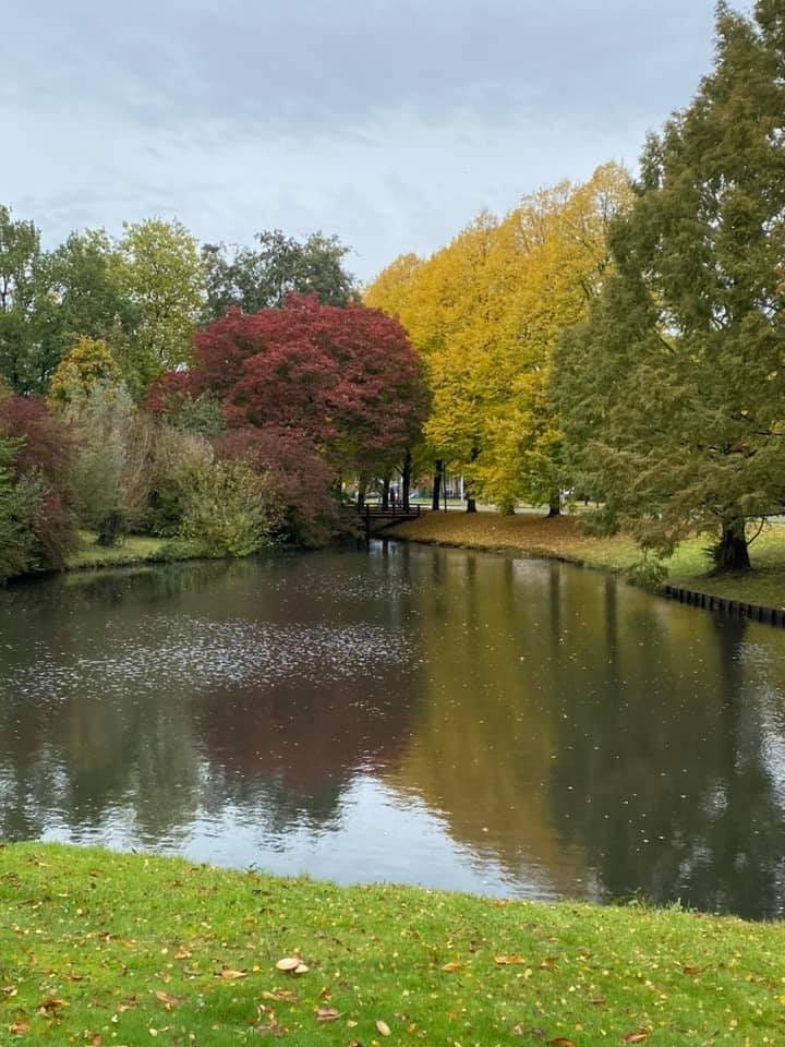 Foto 32 van Aragon 12