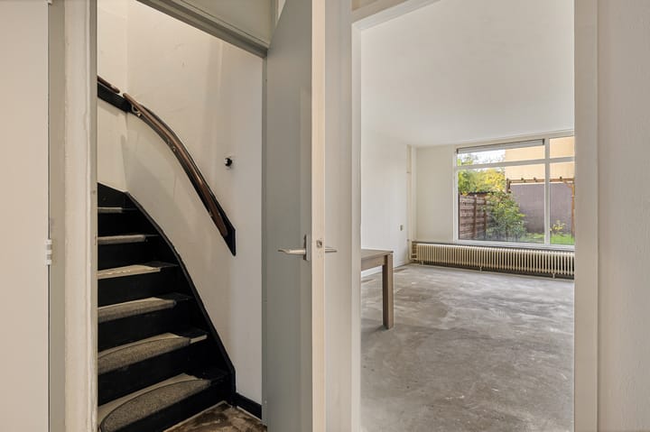 Photo 13 of de Dulf 93