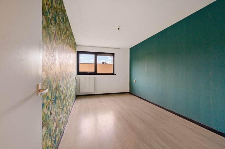 Photo 19 of de Dulf 93