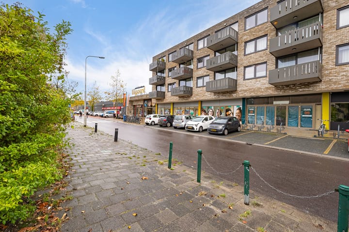 Photo 38 of de Dulf 93