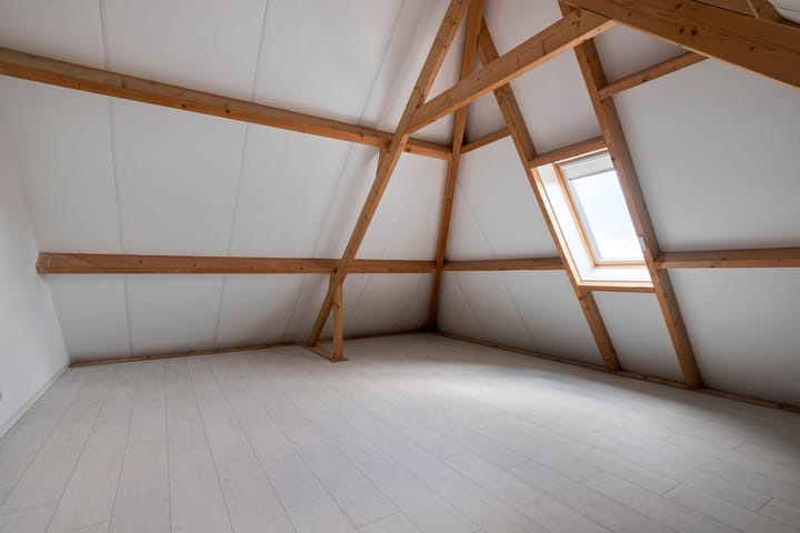 Photo 38 of Dolium 8