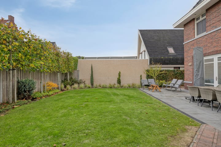 Photo 43 of Dolium 8