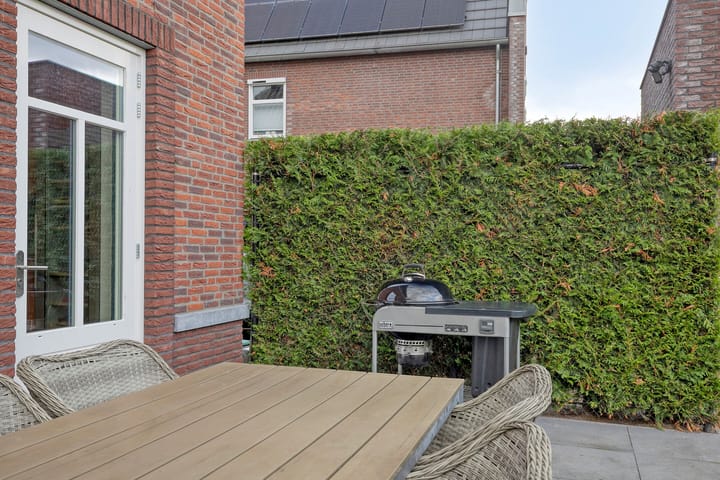 Photo 46 of Dolium 8