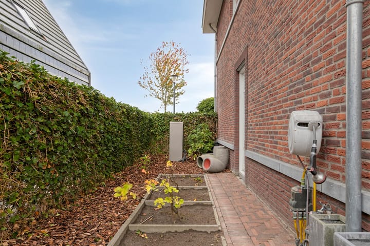 Photo 47 of Dolium 8