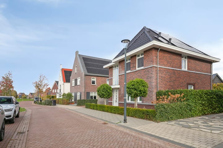 Photo 53 of Dolium 8