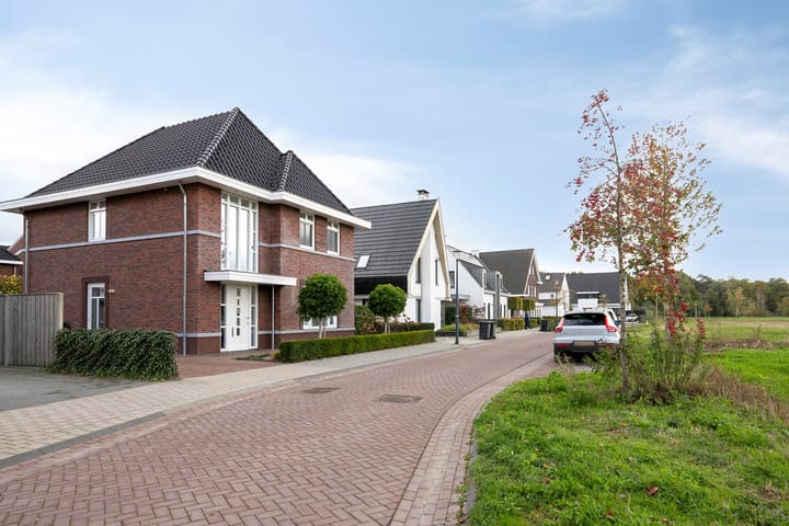 Photo 54 of Dolium 8