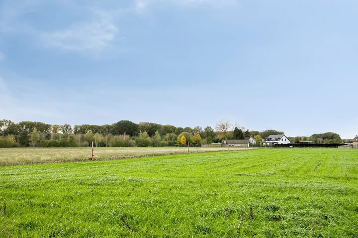 Photo 55 of Dolium 8