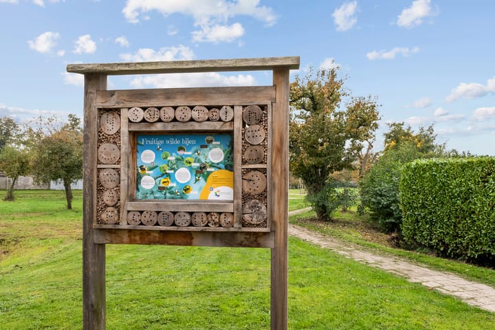 Photo 30 of Duizendblad 29