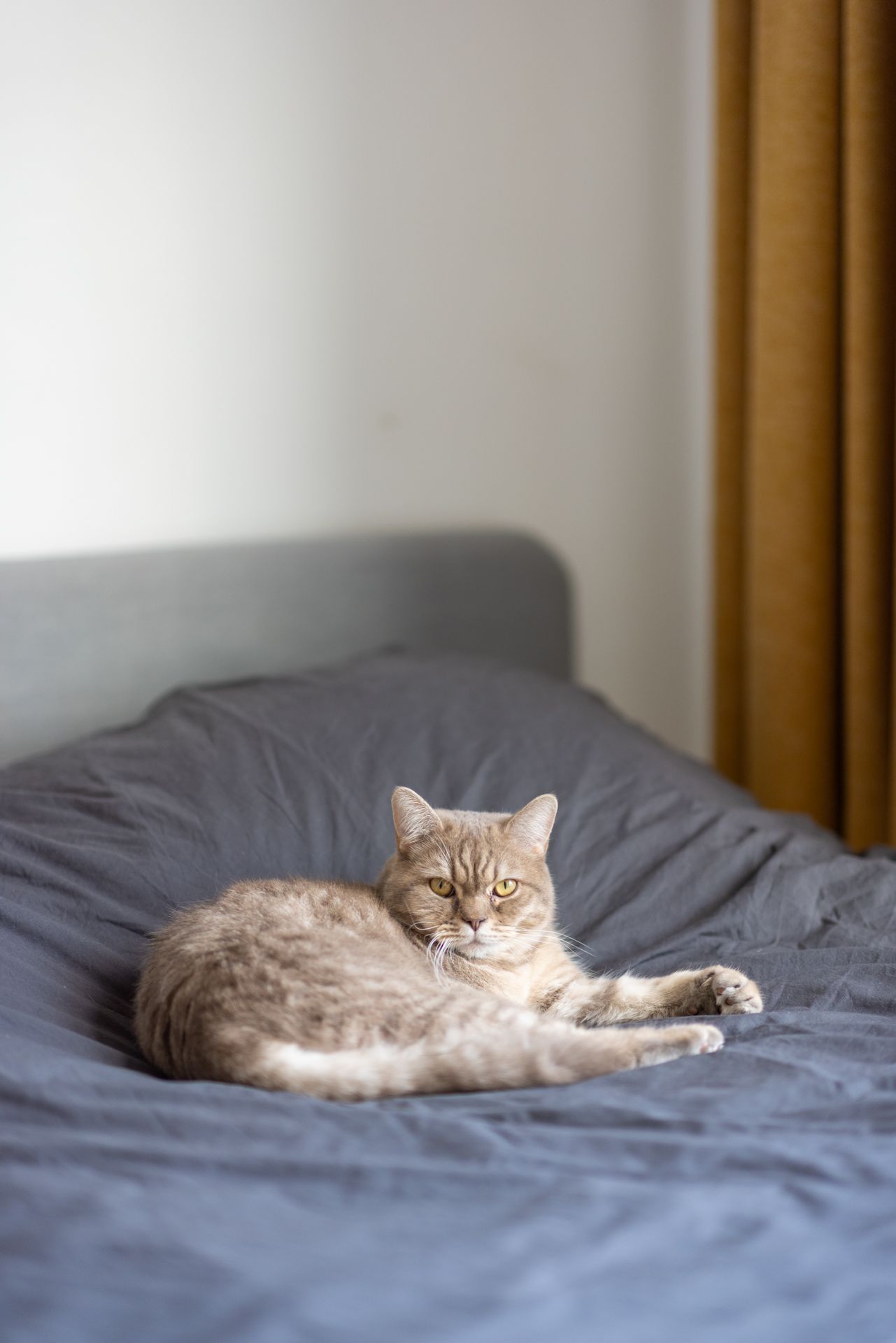 Foto 21 van Graaf Florisstraat 28-A