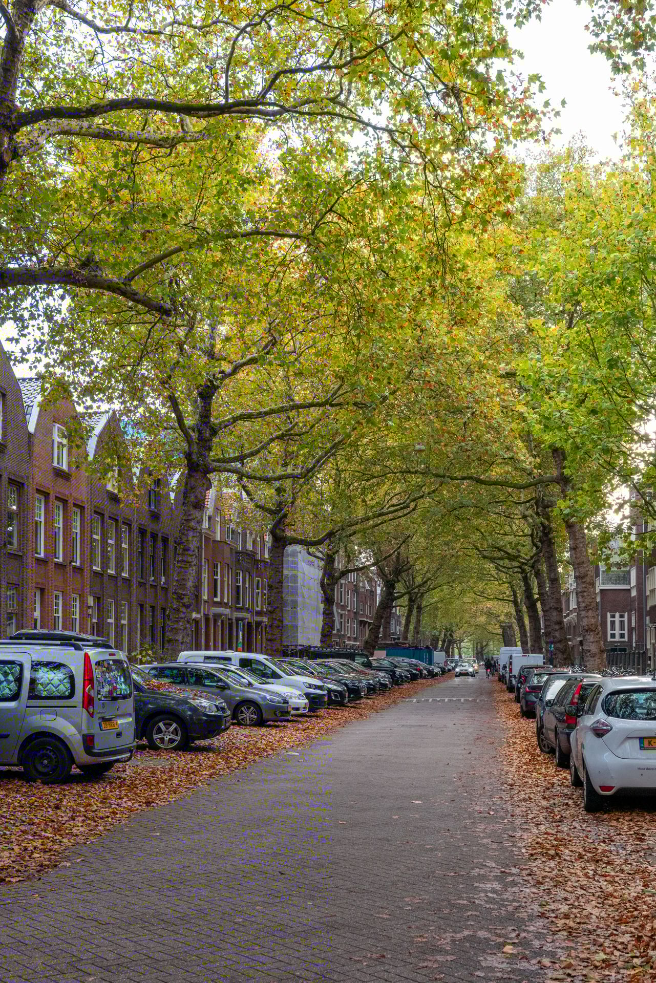 Foto 35 van Graaf Florisstraat 28-A