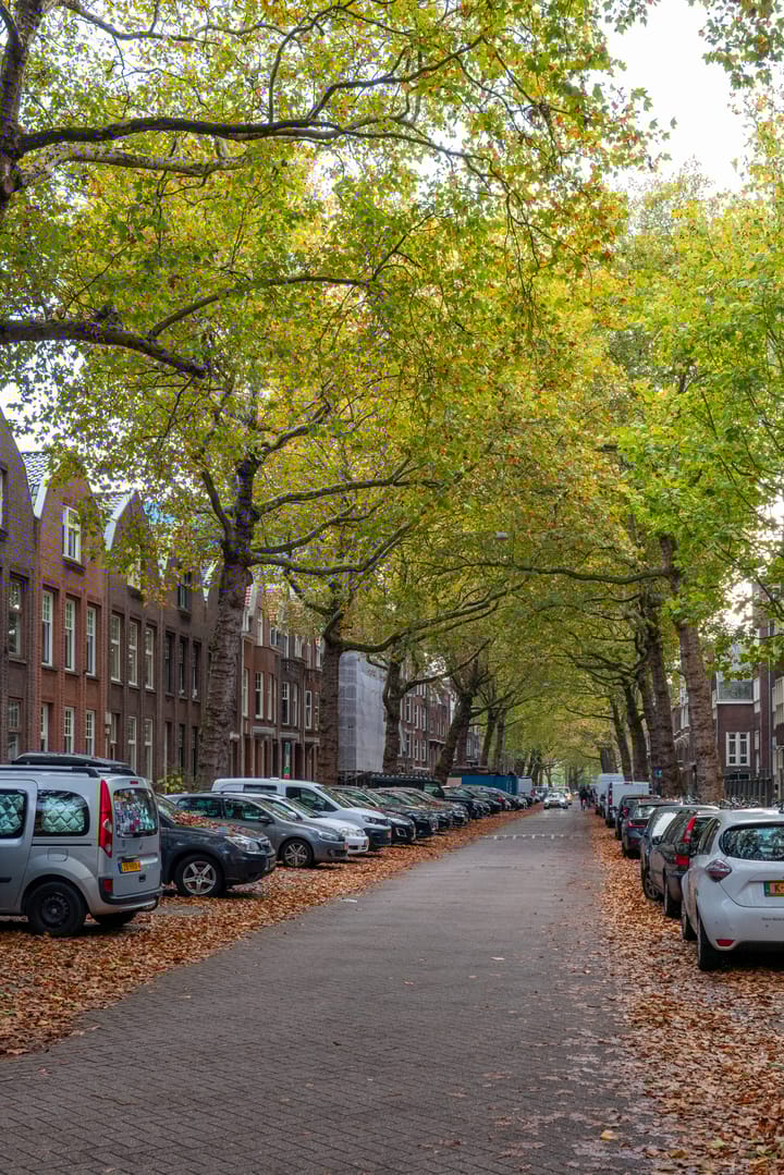 Foto 35 van Graaf Florisstraat 28-A