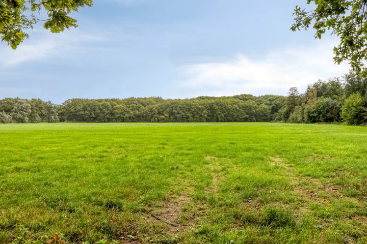 Foto 41 van Papewegse Hof 22