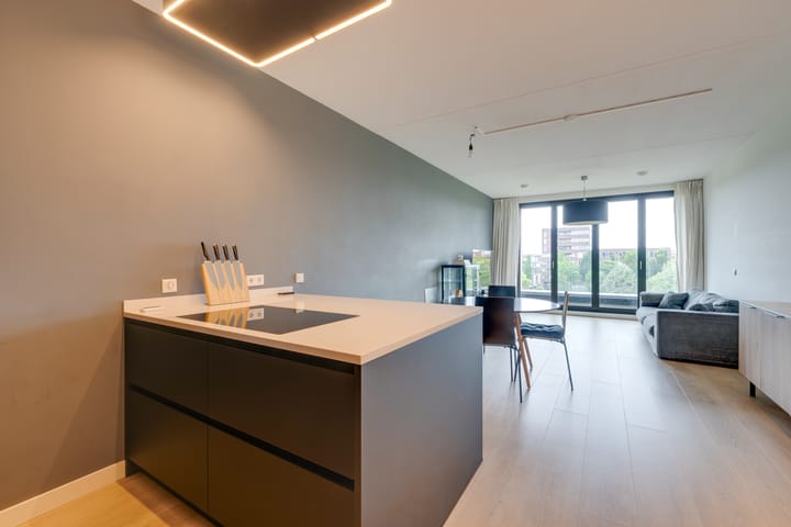 Foto 6 van Erich Salomonstraat 148