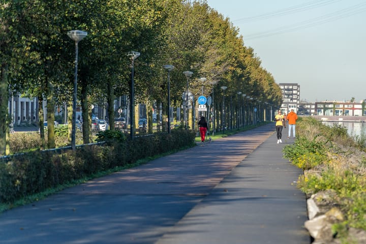 Foto 38 van Erich Salomonstraat 148