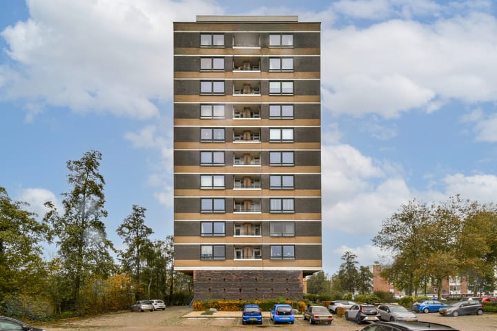 Boerhaavestraat 463 main image